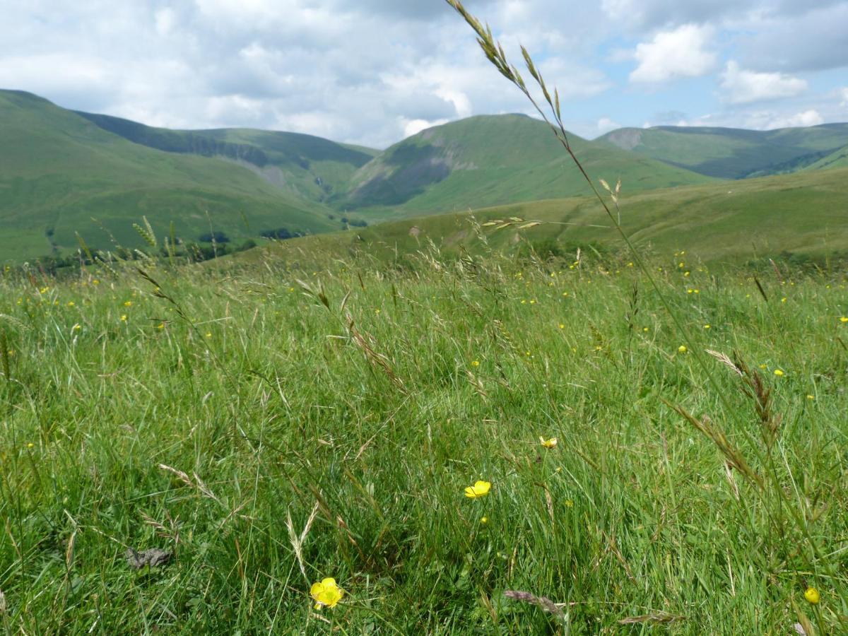 Howgill Cottage Sedbergh Ngoại thất bức ảnh